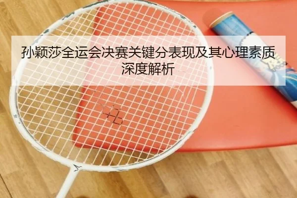 孙颖莎全运会决赛关键分表现及其心理素质深度解析（LEYU SPORTS）